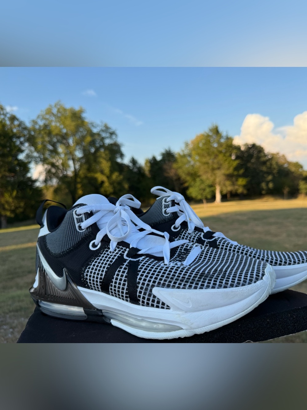 Nike LeBron Witness 7 “Black Metallic"